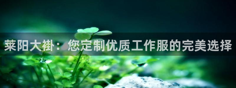 龙8游戏官网网址