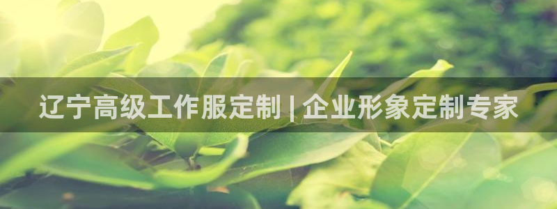 龙8游戏官方进入|辽宁高级工作服定制 | 企业形象定制专家